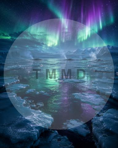 Aurora Over the Polar Sea